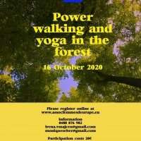 Power walking and yoga in the forest